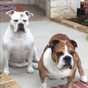 Meet your Posher, Wayne